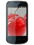 Best available price of Celkon A19 in Bahamas