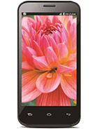 Best available price of Lava Iris 505 in Bahamas