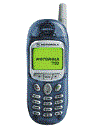 Best available price of Motorola T190 in Bahamas