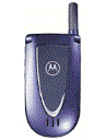 Best available price of Motorola V66i in Bahamas
